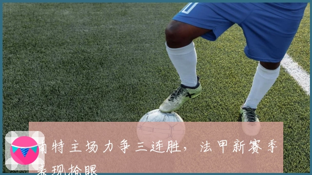 南特主场力争三连胜，法甲新赛季表现抢眼